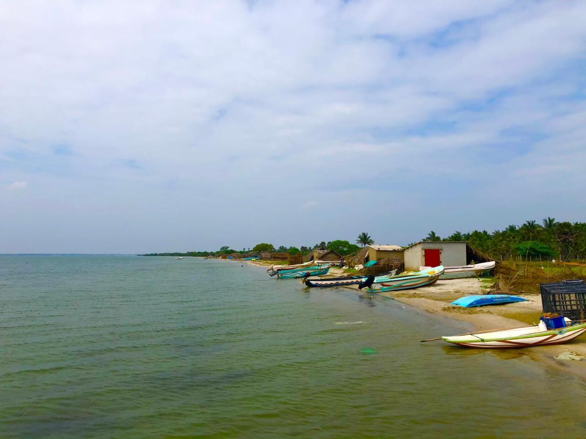 Wilpattu Green Cabin Achchamulai Екстериор снимка