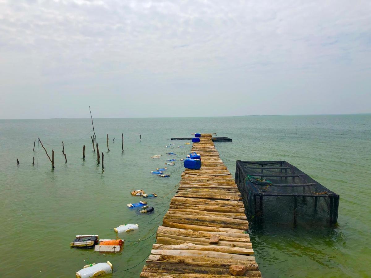 Wilpattu Green Cabin Achchamulai Екстериор снимка