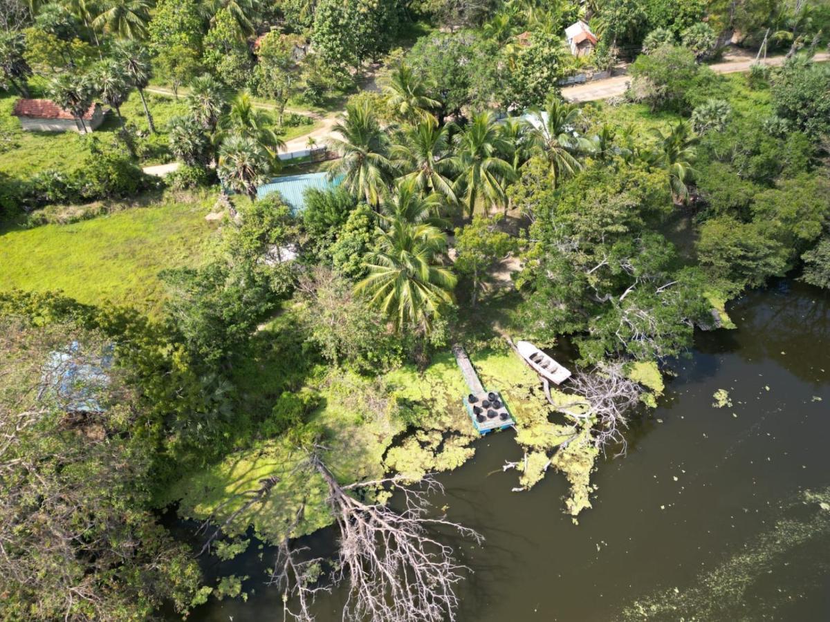 Wilpattu Green Cabin Achchamulai Екстериор снимка